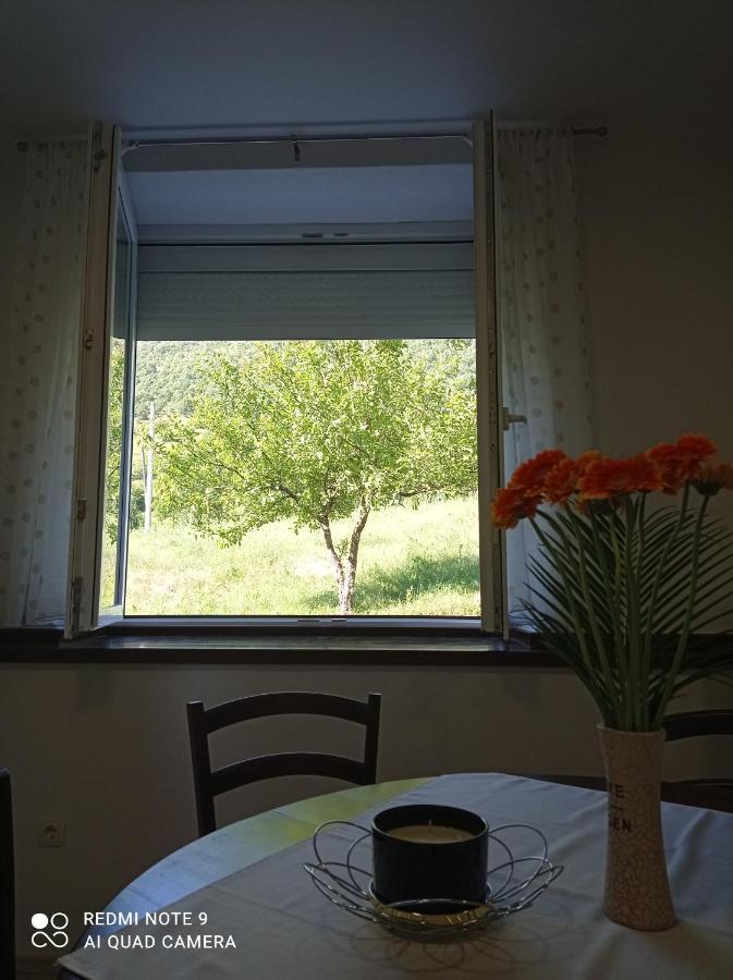 Studio Apartman Sonja Otočac Dış mekan fotoğraf